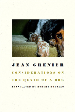 Considerations on the Death of a Dog