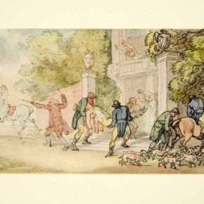 Fox Hunting, A Treatise by the Right Honorable Earl of Kilreynard Now Compiled and Illustrated by C. W. BELL.